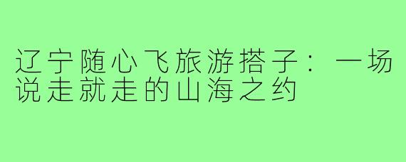辽宁随心飞旅游搭子:一场说走就走的山海之约
