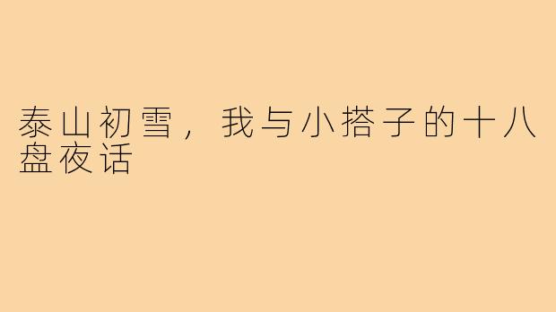 泰山初雪,我与小搭子的十八盘夜话