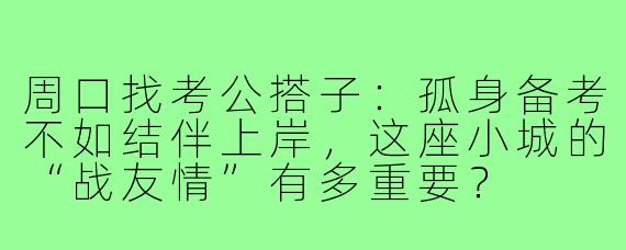 周口找考公搭子:孤身备考不如结伴上岸,这座小城的“战友情”有多重要?
