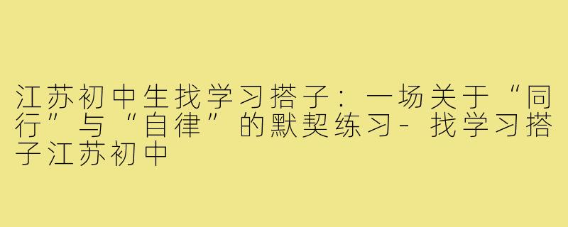 江苏初中生找学习搭子:一场关于“同行”与“自律”的默契练习-找学习搭子江苏初中