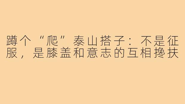 蹲个“爬”泰山搭子:不是征服,是膝盖和意志的互相搀扶