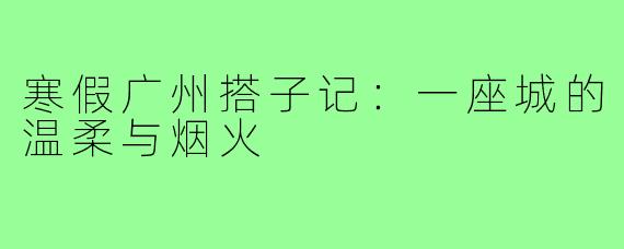 寒假广州搭子记:一座城的温柔与烟火