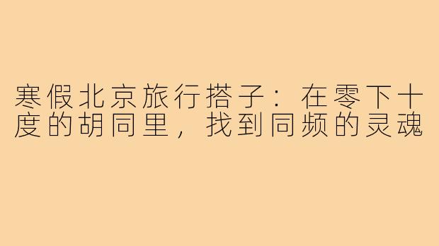寒假北京旅行搭子:在零下十度的胡同里,找到同频的灵魂