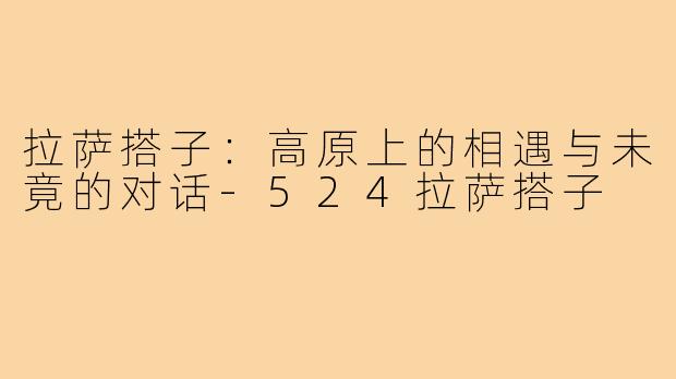 拉萨搭子:高原上的相遇与未竟的对话-524拉萨搭子