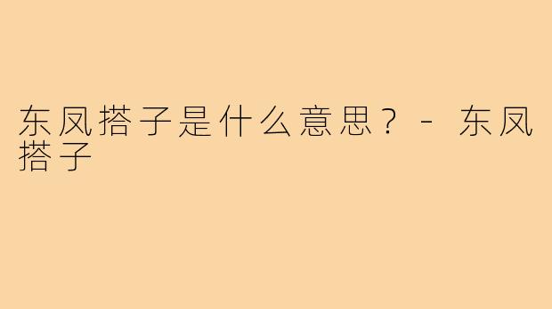 东凤搭子是什么意思?-东凤搭子