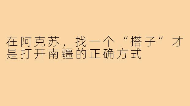 在阿克苏,找一个“搭子”才是打开南疆的正确方式