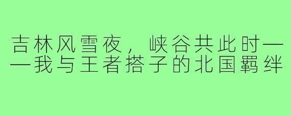 吉林风雪夜,峡谷共此时——我与王者搭子的北国羁绊