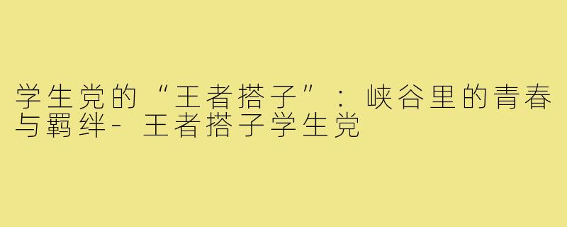 学生党的“王者搭子”:峡谷里的青春与羁绊-王者搭子学生党