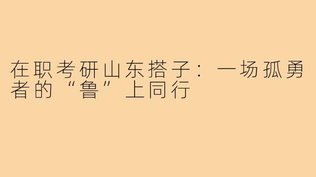 在职考研山东搭子：一场孤勇者的“鲁”上同行