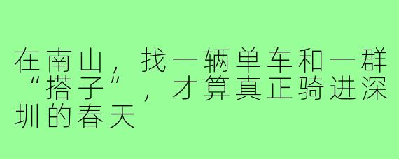在南山,找一辆单车和一群“搭子”,才算真正骑进深圳的春天