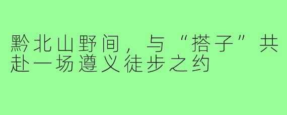 黔北山野间,与“搭子”共赴一场遵义徒步之约