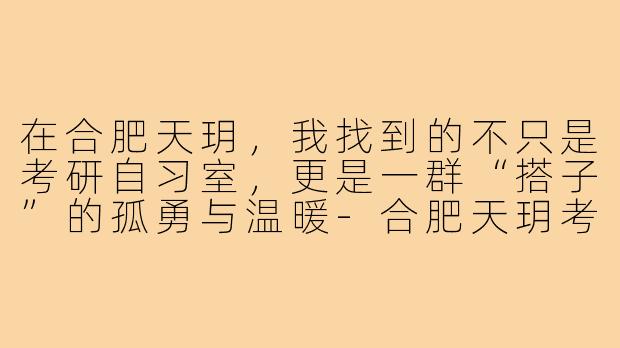 在合肥天玥,我找到的不只是考研自习室,更是一群“搭子”的孤勇与温暖-合肥天玥考研搭子