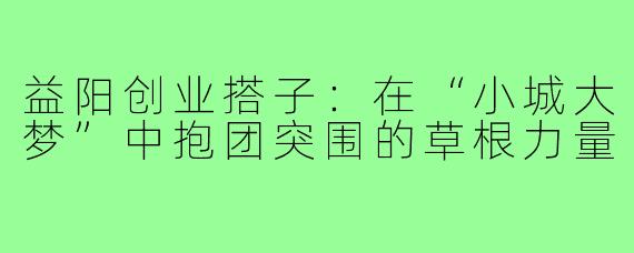 益阳创业搭子：在“小城大梦”中抱团突围的草根力量