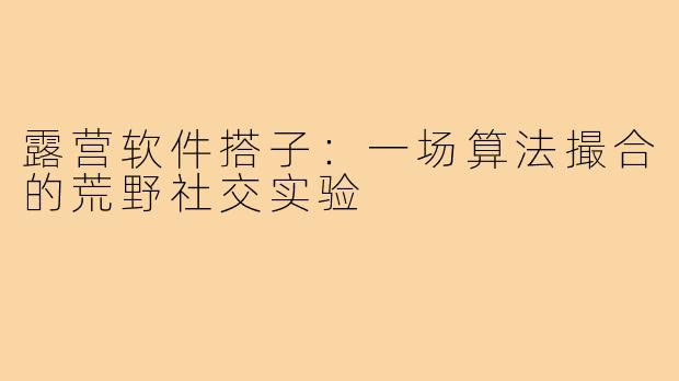 露营软件搭子：一场算法撮合的荒野社交实验