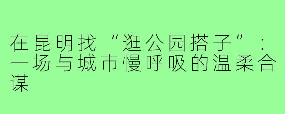 在昆明找“逛公园搭子”:一场与城市慢呼吸的温柔合谋