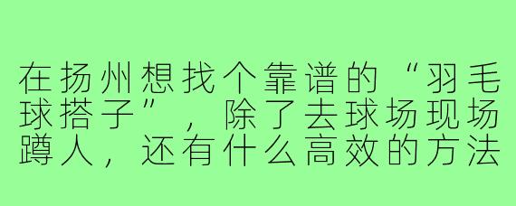 在扬州想找个靠谱的“羽毛球搭子”,除了去球场现场蹲人,还有什么高效的方法吗?