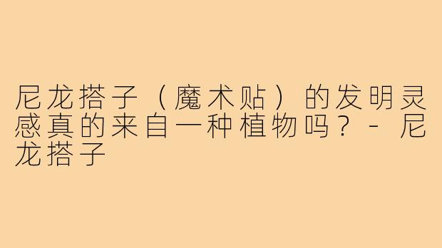 尼龙搭子(魔术贴)的发明灵感真的来自一种植物吗?-尼龙搭子
