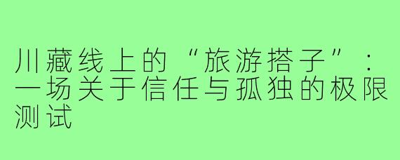 川藏线上的“旅游搭子”:一场关于信任与孤独的极限测试