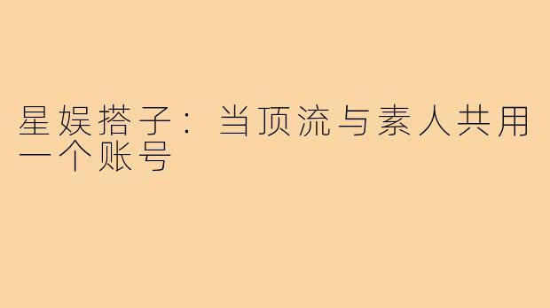 星娱搭子：当顶流与素人共用一个账号