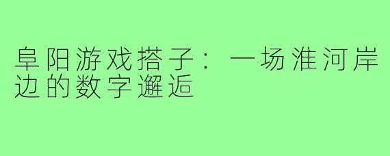阜阳游戏搭子：一场淮河岸边的数字邂逅