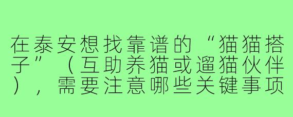在泰安想找靠谱的“猫猫搭子”(互助养猫或遛猫伙伴),需要注意哪些关键事项?