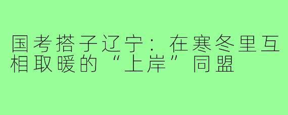 国考搭子辽宁:在寒冬里互相取暖的“上岸”同盟