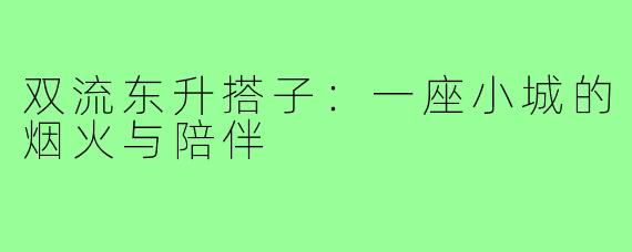 双流东升搭子:一座小城的烟火与陪伴