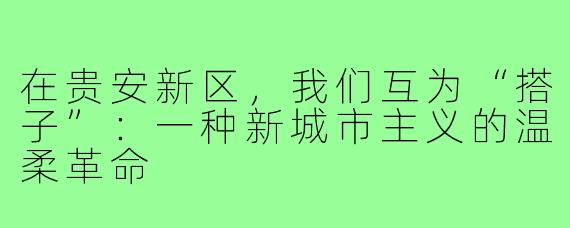 在贵安新区,我们互为“搭子”:一种新城市主义的温柔革命