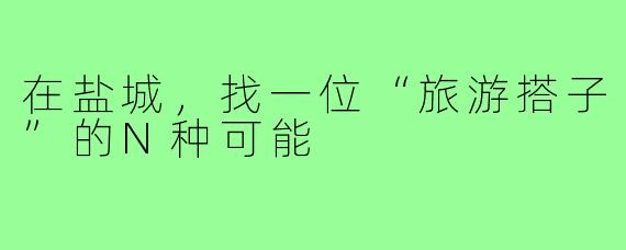 在盐城,找一位“旅游搭子”的N种可能