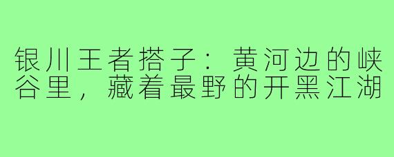 银川王者搭子:黄河边的峡谷里,藏着最野的开黑江湖