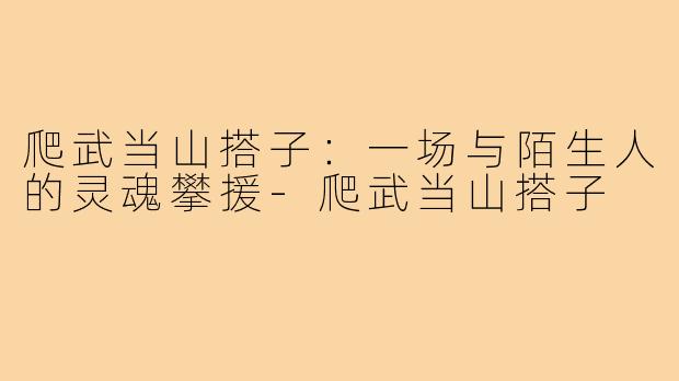 爬武当山搭子:一场与陌生人的灵魂攀援-爬武当山搭子