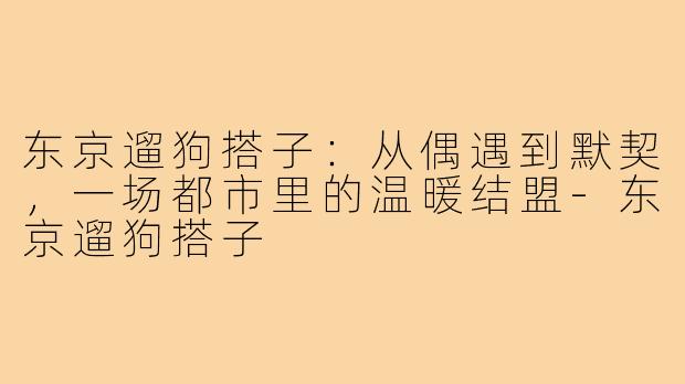 东京遛狗搭子:从偶遇到默契,一场都市里的温暖结盟-东京遛狗搭子