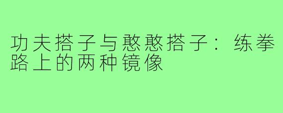 功夫搭子与憨憨搭子:练拳路上的两种镜像