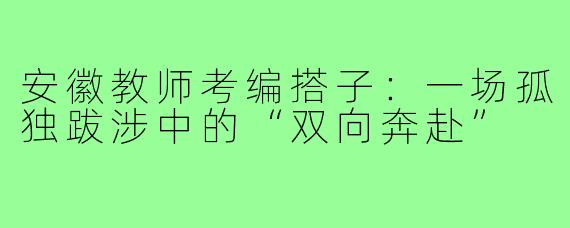 安徽教师考编搭子：一场孤独跋涉中的“双向奔赴”