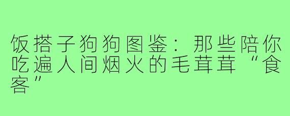 饭搭子狗狗图鉴：那些陪你吃遍人间烟火的毛茸茸“食客”