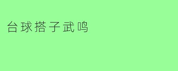 台球搭子武鸣