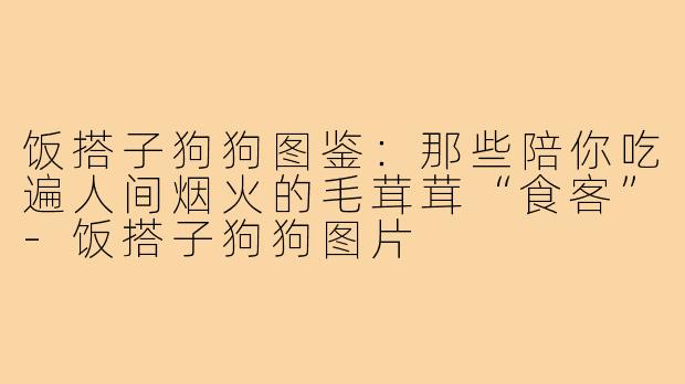 饭搭子狗狗图鉴：那些陪你吃遍人间烟火的毛茸茸“食客”-饭搭子狗狗图片