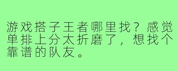 游戏搭子王者哪里找?感觉单排上分太折磨了,想找个靠谱的队友。
