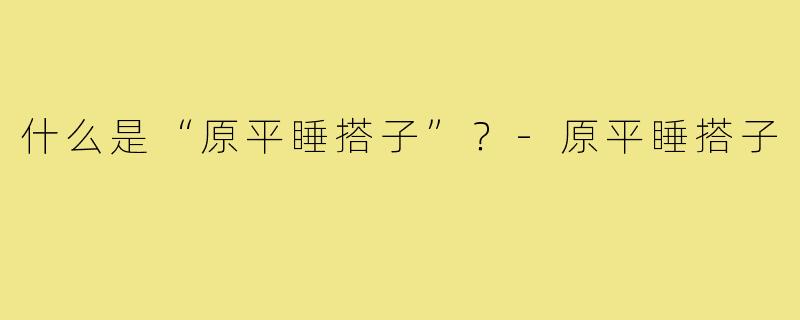 什么是“原平睡搭子”?-原平睡搭子