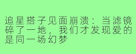 追星搭子见面崩溃:当滤镜碎了一地,我们才发现爱的是同一场幻梦