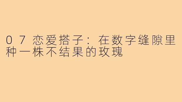07恋爱搭子:在数字缝隙里种一株不结果的玫瑰