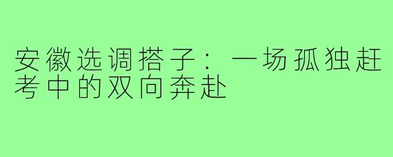 安徽选调搭子:一场孤独赶考中的双向奔赴