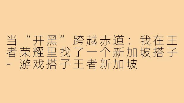 当“开黑”跨越赤道:我在王者荣耀里找了一个新加坡搭子-游戏搭子王者新加坡