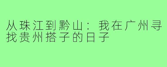 从珠江到黔山：我在广州寻找贵州搭子的日子
