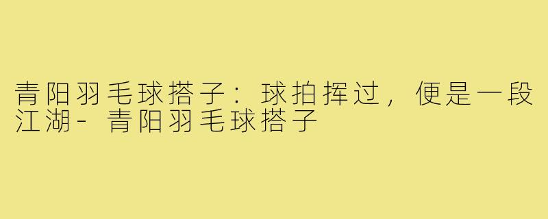 青阳羽毛球搭子:球拍挥过,便是一段江湖-青阳羽毛球搭子