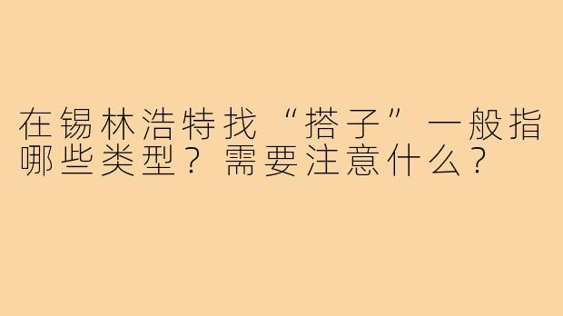 在锡林浩特找“搭子”一般指哪些类型?需要注意什么?