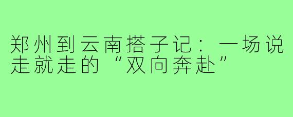 郑州到云南搭子记:一场说走就走的“双向奔赴”