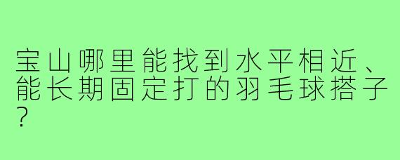 宝山哪里能找到水平相近、能长期固定打的羽毛球搭子?