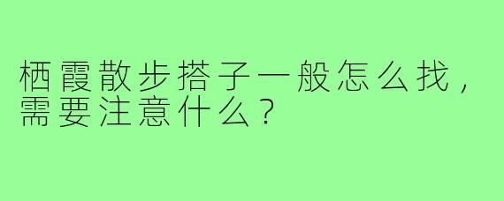 栖霞散步搭子一般怎么找,需要注意什么?
