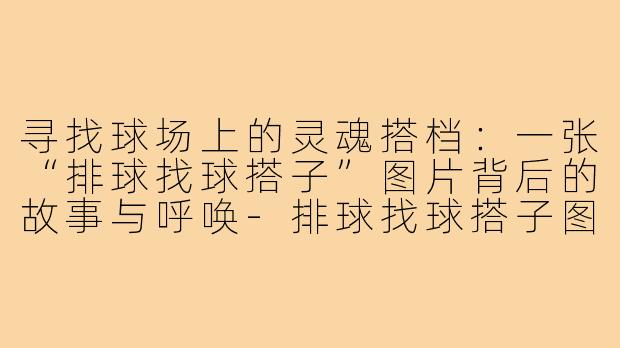 寻找球场上的灵魂搭档:一张“排球找球搭子”图片背后的故事与呼唤-排球找球搭子图片